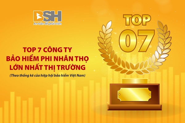 bsh-top-7-1