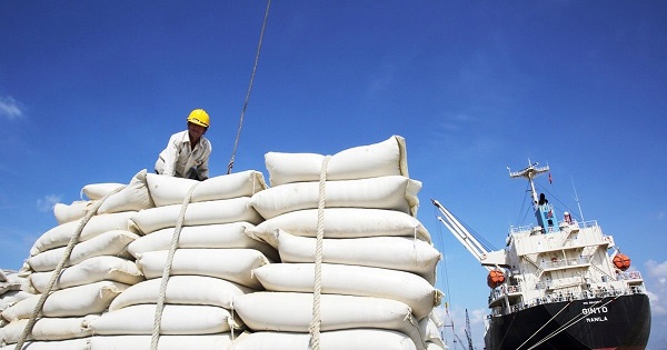 Xuất khẩu gạo: Doanh nghiệp lao đao vì giá giảm và vướng mắc VAT