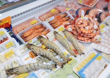Triển lãm VIETFISH sẽ diễn ra từ ngày 20-22/8 tại TP.HCM
