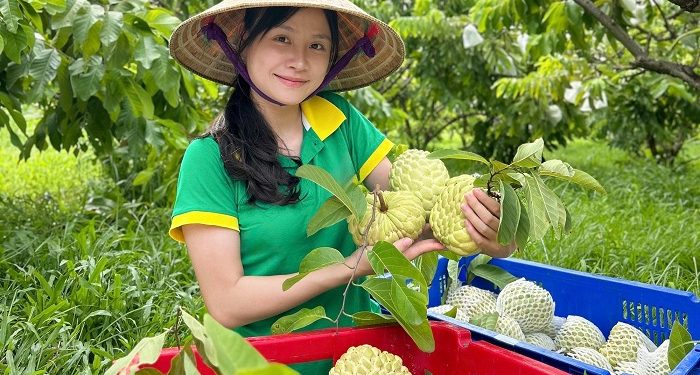 Cơ hội và thách thức khi đưa nông sản lên sàn thương mại điện tử