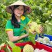 Cơ hội và thách thức khi đưa nông sản lên sàn thương mại điện tử
