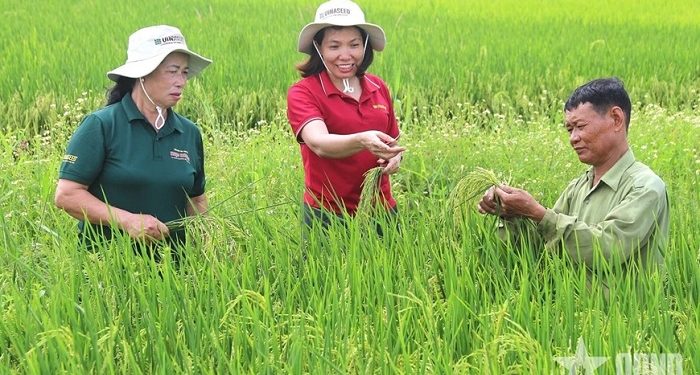 Mở rộng giá trị nông nghiệp qua xuất khẩu giống cây trồng