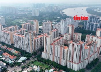 TP Hồ Chí Minh xây dựng phần mềm quản lý nhà, đất tái định cư