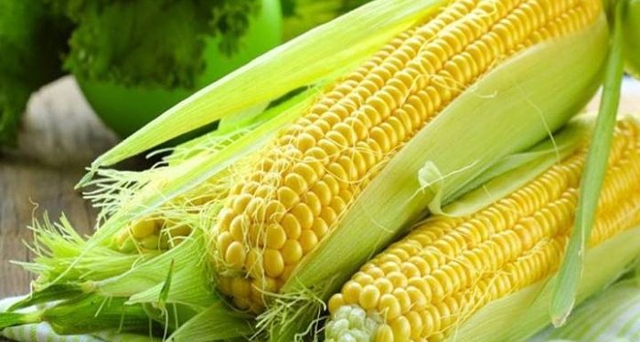 Giá ngô lao dốc do áp lực chốt lời