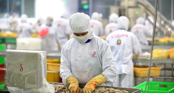 Nhiều tổ chức môi trường EU phản đối đề xuất sửa đổi Chính sách Thủy sản Chung