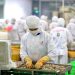 Nhiều tổ chức môi trường EU phản đối đề xuất sửa đổi Chính sách Thủy sản Chung