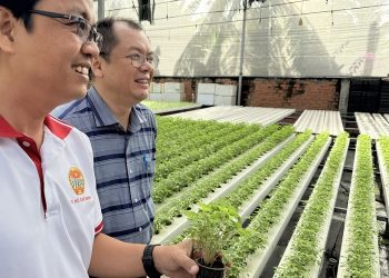 Mở rộng cánh cửa sản xuất rau an toàn cho nông hộ nhỏ