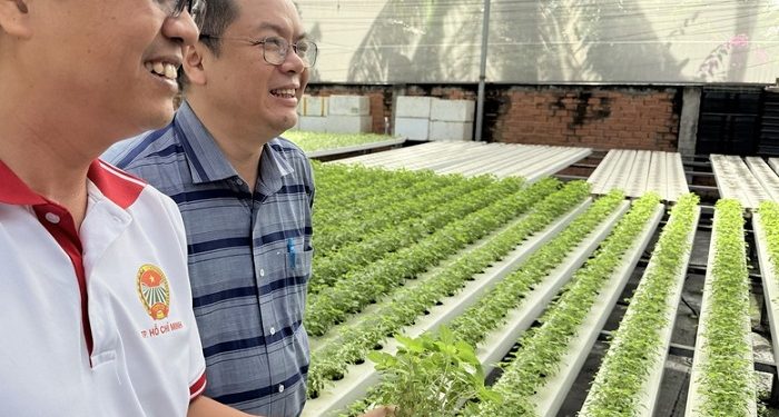 Mở rộng cánh cửa sản xuất rau an toàn cho nông hộ nhỏ
