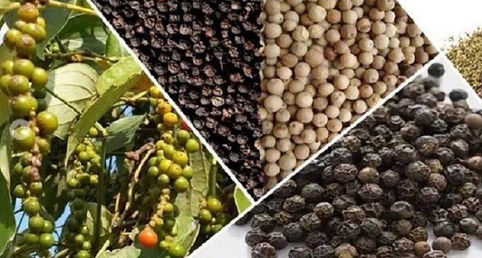 Xuất khẩu hồ tiêu Việt Nam bứt tốc, rộng cửa chinh phục thị trường lớn