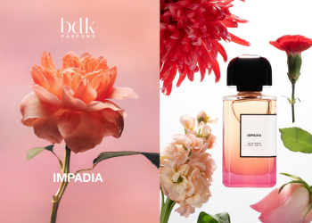 Impadia – Hình Ảnh Paris Dưới Góc Nhìn Nghệ Thuật 