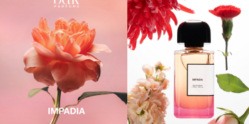 Impadia – Hình Ảnh Paris Dưới Góc Nhìn Nghệ Thuật 
