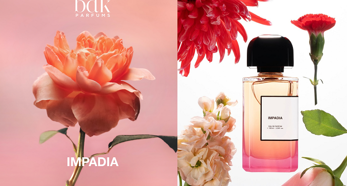 Impadia – Hình Ảnh Paris Dưới Góc Nhìn Nghệ Thuật 