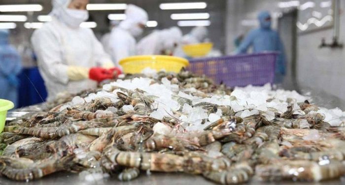 Thị trường tôm Nhật Bản: Giữ vững vị thế dẫn đầu nhờ lợi thế chế biến sâu